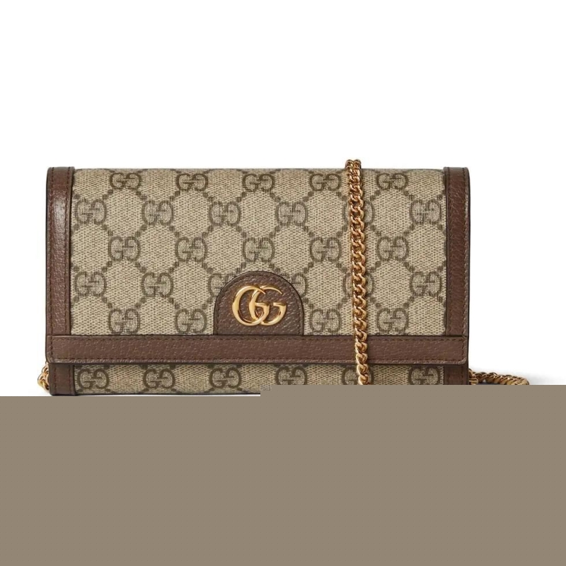 G*u*i satchel bags